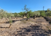 Xalet independent amb terreny en venda a la España, l'Ametlla de Mar, ref.: TR304072 foto
