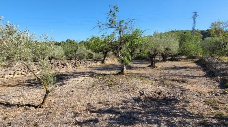 Tarragona - l'Ametlla de Mar - 12936m2