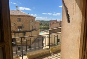 Foto 10