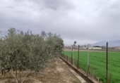 Terreny no urbanitzable en venda a la España, Churriana de la Vega, ref.: TR319366 foto