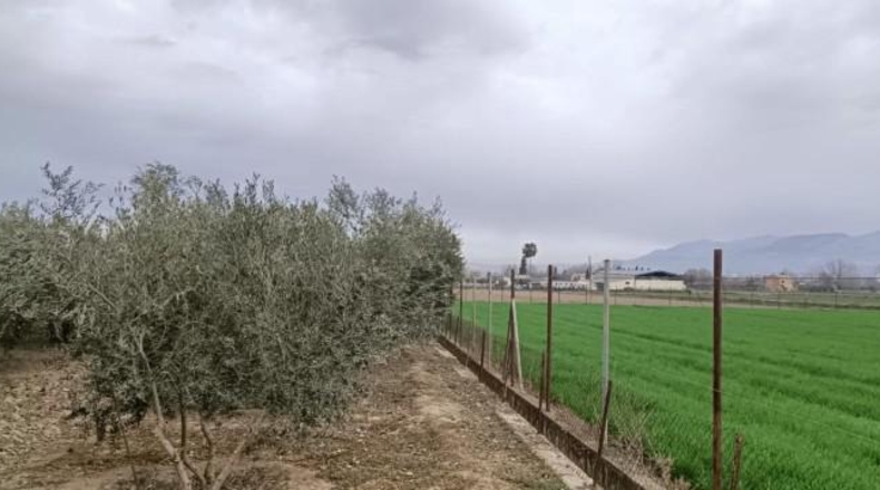 Granada - Churriana de la Vega - 6513m2