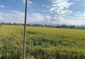 Terreny no urbanitzable en venda a la España, Churriana de la Vega, ref.: TR319366 foto