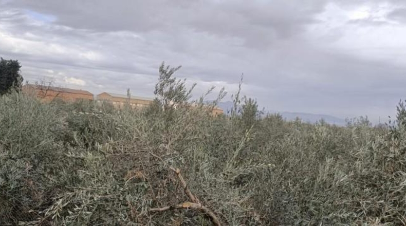 Granada - Churriana de la Vega - 6513m2