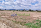 Земля на продажу у города Lorca Фото