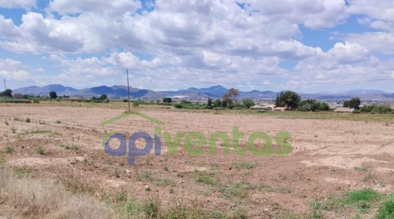 Murcia - Lorca - 5151m2