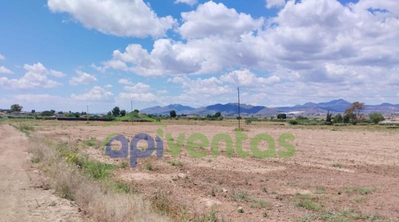 Murcia - Lorca - 5151m2