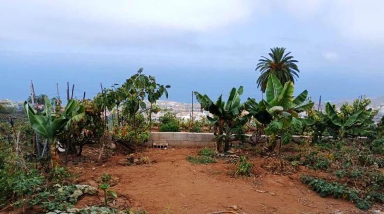 Santa Cruz de Tenerife - Santa Úrsula - 971m2