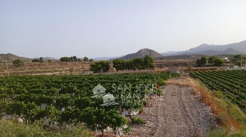 Alicante - Novelda - 17760m2