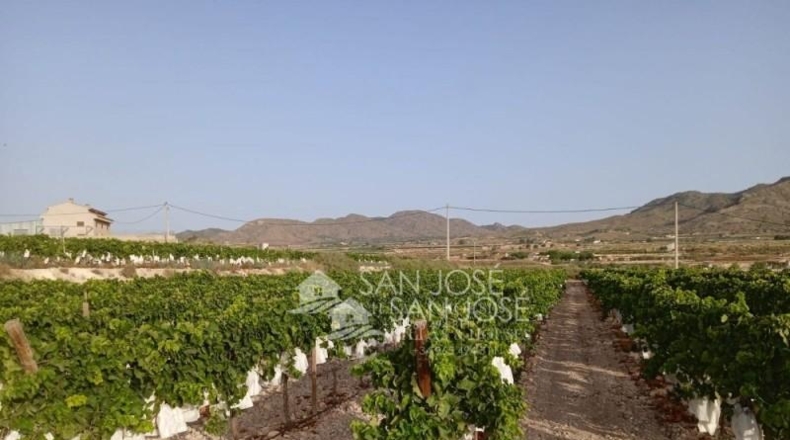 Alicante - Novelda - 17760m2