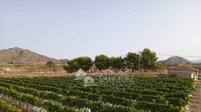 Alicante - Novelda - 17760m2