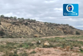 Novelda 43000&nbsp;m² 