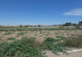 Terreno no urbanizable en venta en la España, Lorquí, ref: TR114529 foto