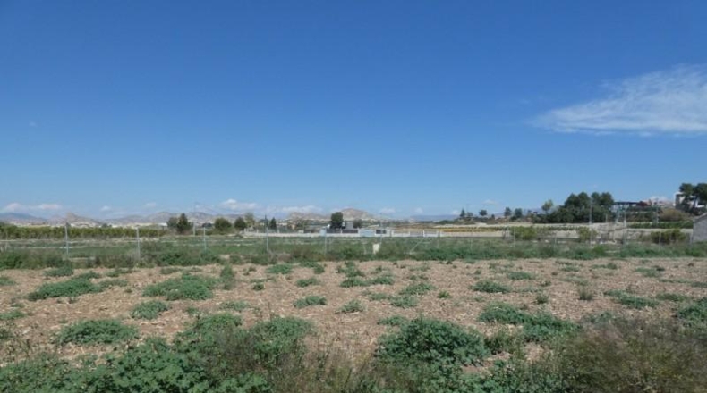Múrcia - Lorquí - 8214m2