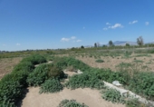 Terreno no urbanizable en venta en la España, Lorquí, ref: TR114529 foto