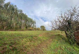 Villaviciosa 3500&nbsp;m² 