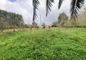 Finca rústica en venda a la España, Villaviciosa, ref.: TR358418 foto