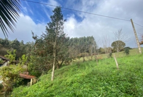 Villaviciosa 3500&nbsp;m² 
