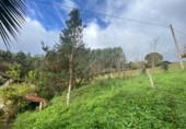Finca rústica en venda a la España, Villaviciosa, ref.: TR358418 foto