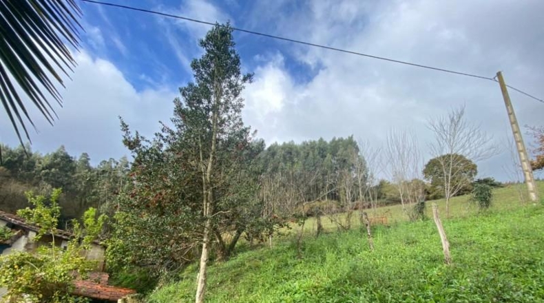 Астурия - Villaviciosa - 5756m2