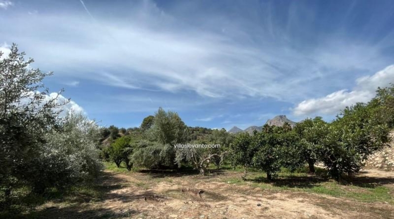 Alicante - La Nucía - 2359m2