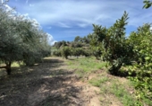 Casa de camp amb terreny en venda a la España, la Nucia, ref.: TR304532 foto