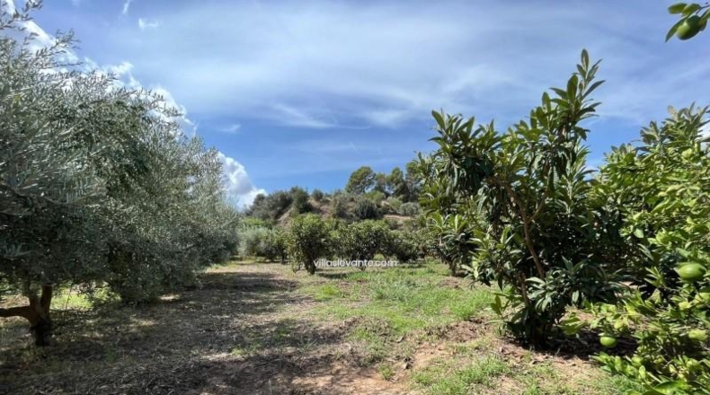 Alicante - La Nucía - 2359m2