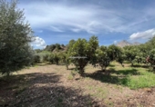 Casa de camp amb terreny en venda a la España, la Nucia, ref.: TR304532 foto