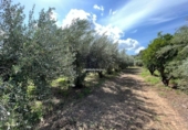 Casa de camp amb terreny en venda a la España, la Nucia, ref.: TR304532 foto