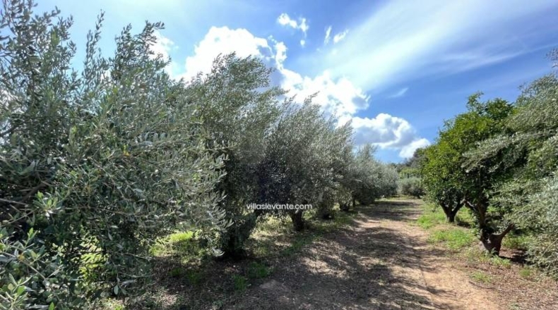 Alicante - La Nucía - 2359m2