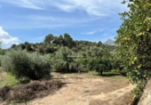 Casa de camp amb terreny en venda a la España, la Nucia, ref.: TR304532 foto