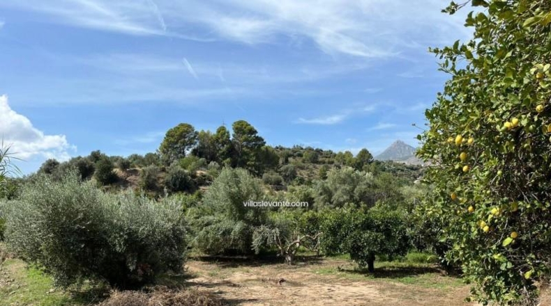 Alicante - La Nucía - 2359m2