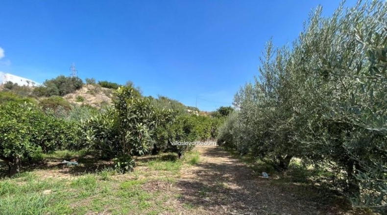 Alicante - La Nucía - 2359m2