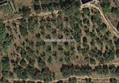 Casa de camp amb terreny en venda a la España, la Nucia, ref.: TR304532 foto
