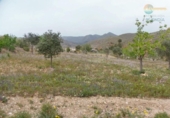 Terreny no urbanitzable en venda a la España, Mazarrón, ref.: TR131559 foto
