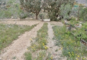 Terreny no urbanitzable en venda a la España, Mazarrón, ref.: TR131559 foto