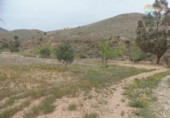 Terreny no urbanitzable en venda a la España, Mazarrón, ref.: TR131559 foto