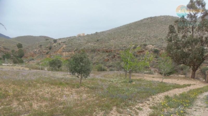 Murcia - Mazarrón - 6900m2