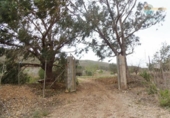 Terreny no urbanitzable en venda a la España, Mazarrón, ref.: TR131559 foto