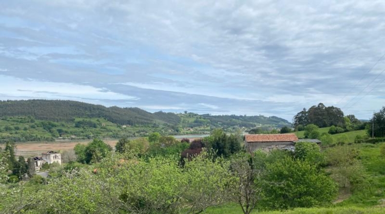 Asturias - Villaviciosa - 1377m2