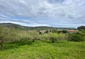 Parcel·la urbanitzable en venda a la España, Villaviciosa, ref.: TR171035 foto