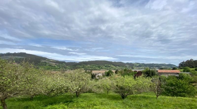 Asturias - Villaviciosa - 1377m2