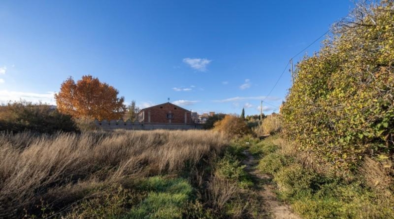 Granada - Beas de Guadix - 3028m2