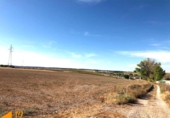 Land suitable for development for sale on España, Sotragero, ref: TR380503 photo