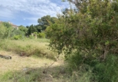 Parcela urbanizable en venta en la España, Marzà, ref: TR184806 foto