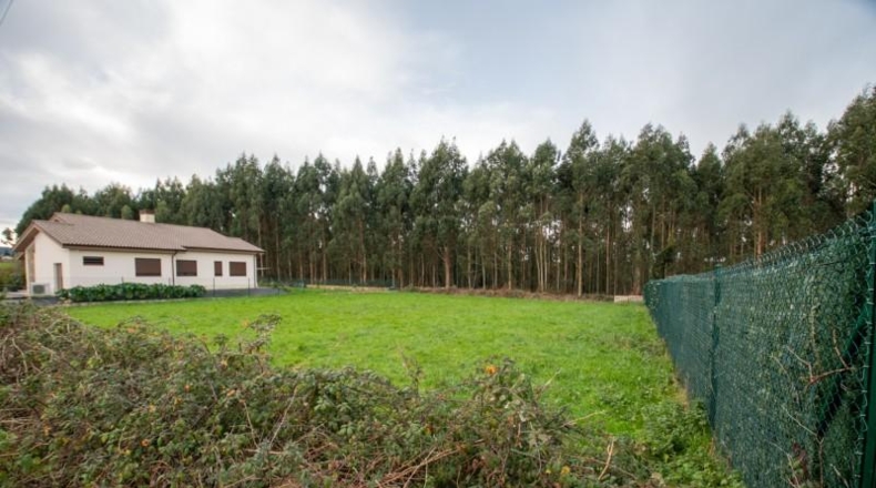 Astúries - Villaviciosa - 1250m2