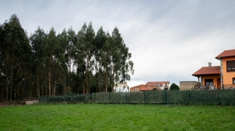 Astúries - Villaviciosa - 1250m2