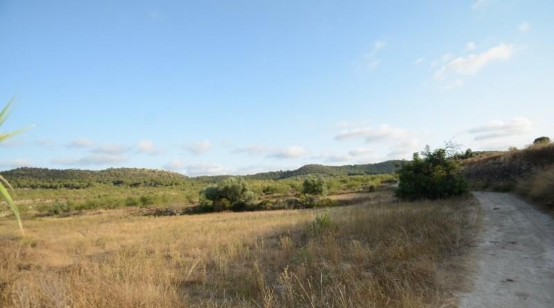 Alicante - Orihuela - 17000m2