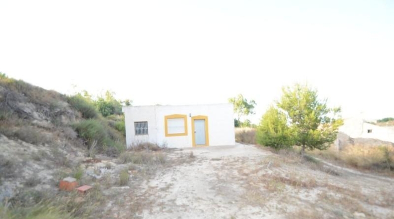 Alicante - Orihuela - 17000m2