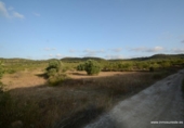 Terreny no urbanitzable en venda a la España, Oriola, ref.: TR235571 foto
