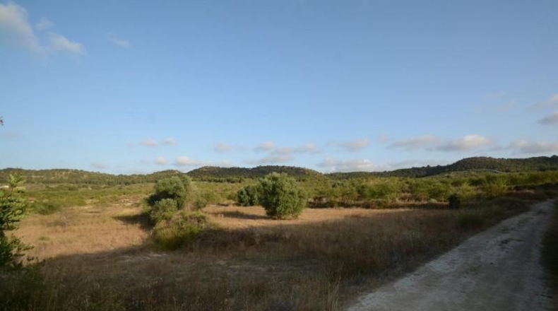 Alicante - Orihuela - 17000m2